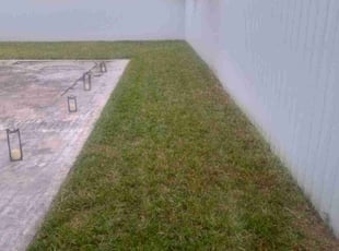 Jim B.'s lawn care services service result