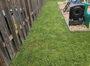 JAMES M.'s turf care service result
