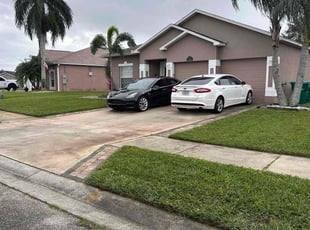 Donn G.'s turf care service result