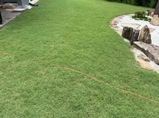 Andrea S.'s turf care service result