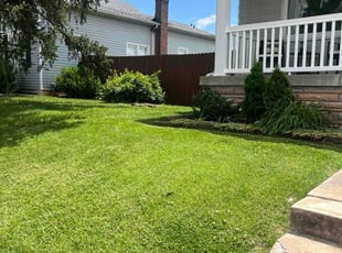 Sonja H.'s grass maintenance service result