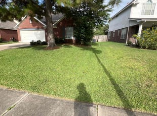 Arlene B.'s lawn maintenance service result
