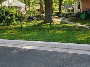 Kathleen C.'s turf care service result