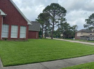 Debra C.'s turf care service result