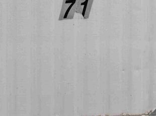 Luis G.'s grass cutting service result