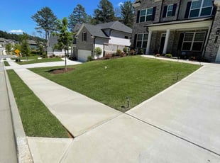 Forrest D.'s grass maintenance service result