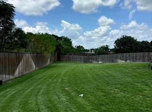 Alyssa M.'s grass cutting service result
