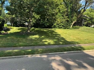 Jason R.'s grass cutting service result