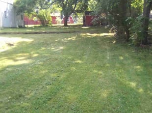 Varsha s.'s lawn care services service result