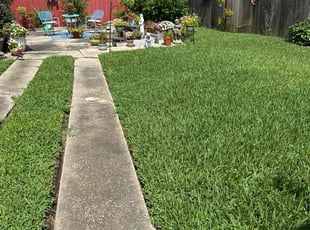 Kevin W.'s turf maintenance service result