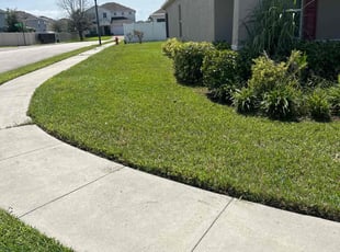 Clara H.'s turf maintenance service result