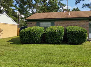 Nikki E.'s Bush Trimming service result
