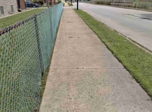 Rachel L.'s lawn service service result