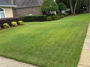 Denise F.'s lawn service service result