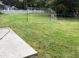 Jon L.'s turf care service result