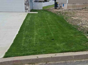 Ania S.'s turf maintenance service result