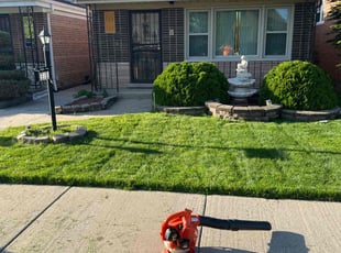 Carol W.'s lawn maintenance service result