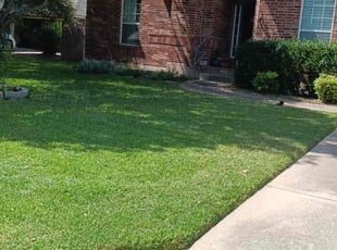 Mitchell B.'s turf care service result