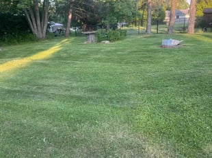 Kim M.'s lawn service service result