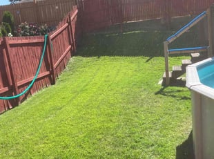 Silvia C.'s grass maintenance service result
