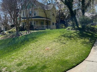 Alicia H.'s turf maintenance service result