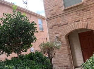 Elizabeth M.'s Bush Trimming service result