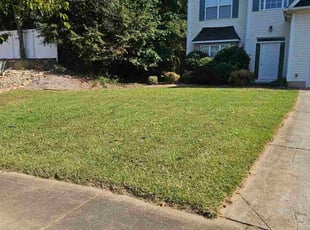 Sean A.'s turf maintenance service result