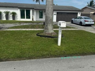 Alexia A.'s lawn service service result