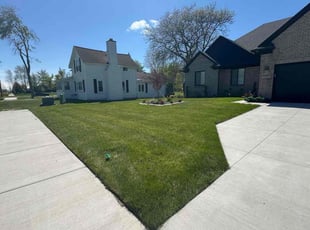 Natalia C.'s lawn care service result