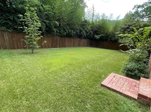 Carvin M.'s lawn care service result