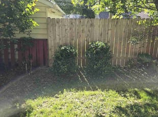 Devlin C.'s Bush Trimming service result