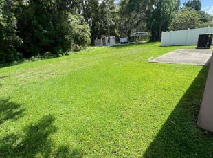 Natalie E.'s turf care service result