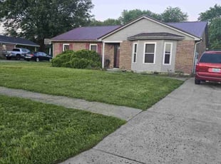 Brandon W.'s Long Grass Cleanup service result
