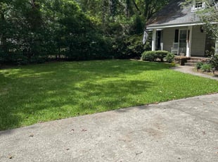 Michael B.'s turf maintenance service result