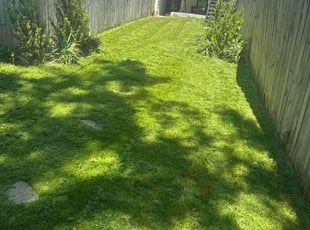 Paul H.'s lawn service service result