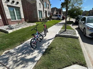 Chaya S.'s grass cutting service result