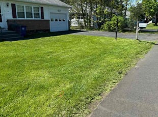 David R.'s lawn service service result