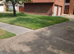 Kristen S.'s grass maintenance service result