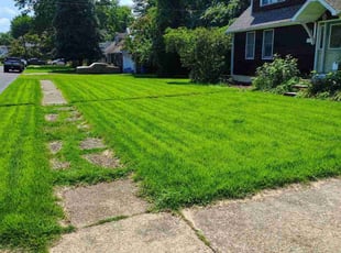Carol R.'s lawn service service result