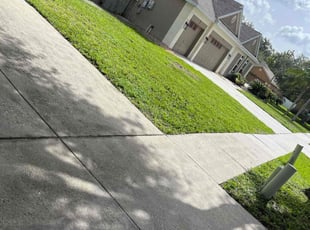 Melissa S.'s Bush Trimming service result