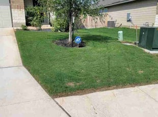 Kyung P.'s lawn service service result