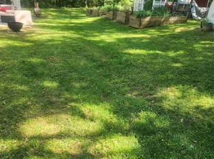 Ruby B.'s lawn care services service result