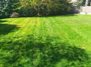 Cristina C.'s lawn care services service result