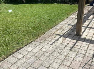 William M.'s lawn maintenance service result