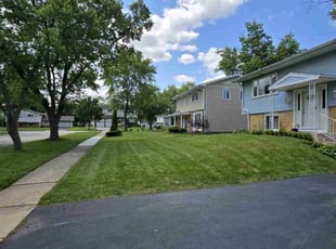 Kelly S.'s turf maintenance service result