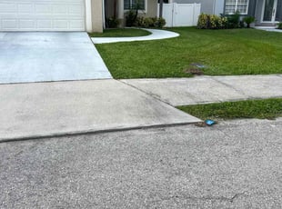 Ben M.'s lawn maintenance service result