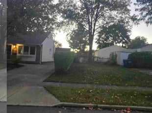 Bruce N.'s Bush Trimming service result