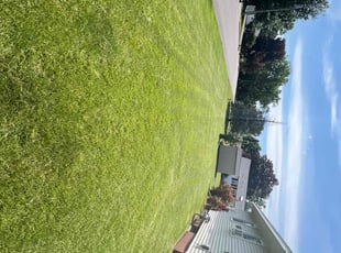 Paul B.'s lawn service service result