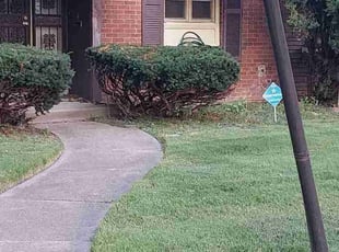 Carol D.'s turf care service result