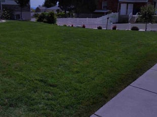 Matthew B.'s lawn service service result